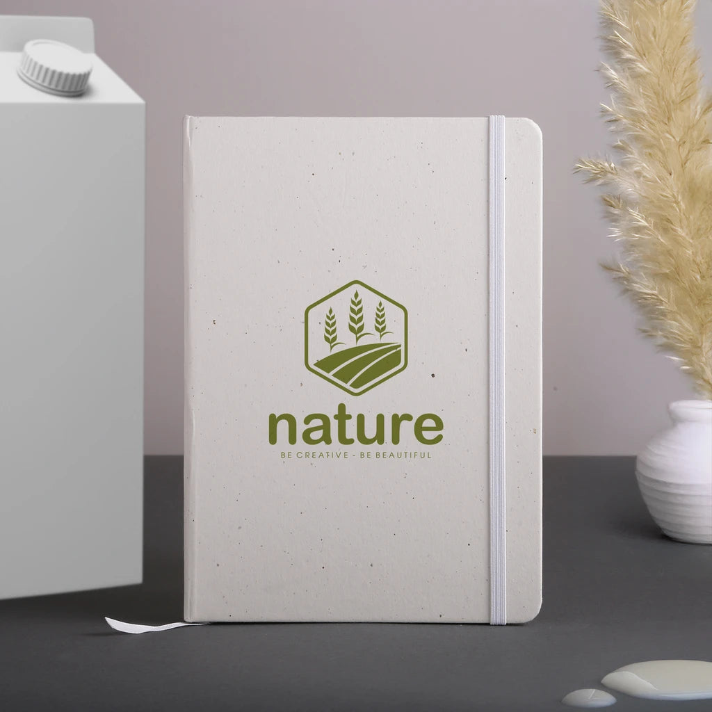 Journal Carton de Lait